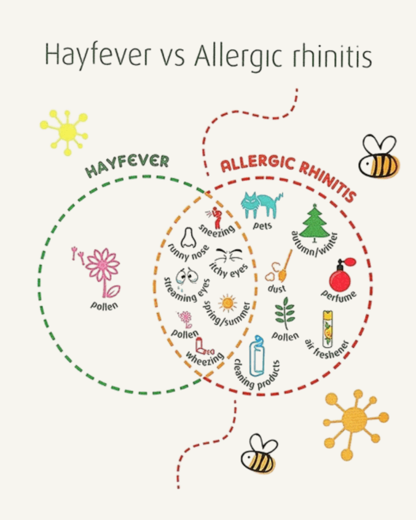 HAYFEVER & ALLERGIC RHINITIS